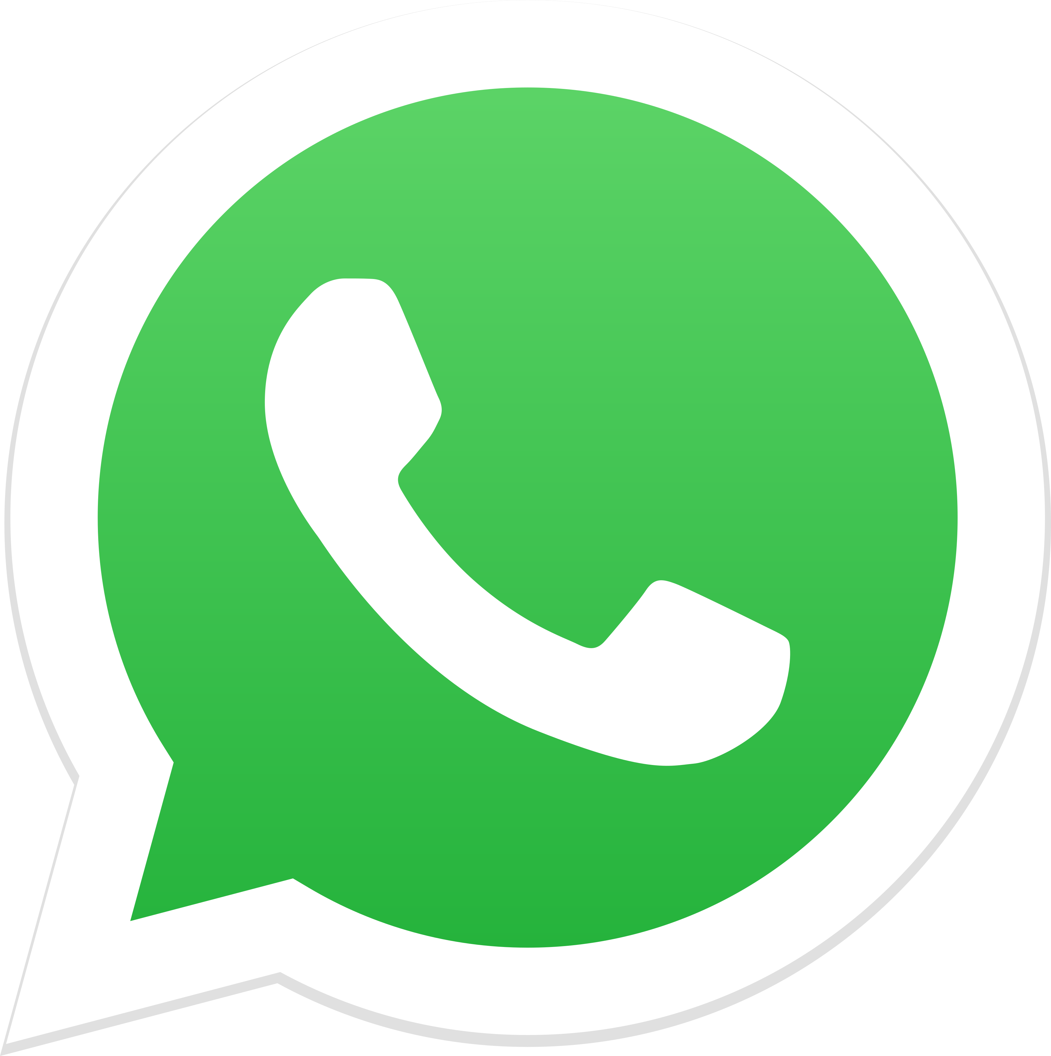 Whatsapp Bien Asegurado